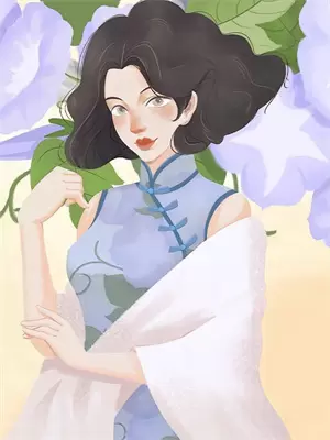 重生之一妻二夫