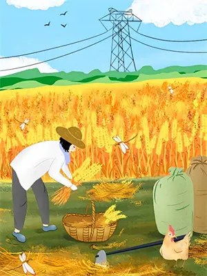 叶罗丽之光仙子