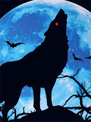 邪人修仙：我的功法自己编